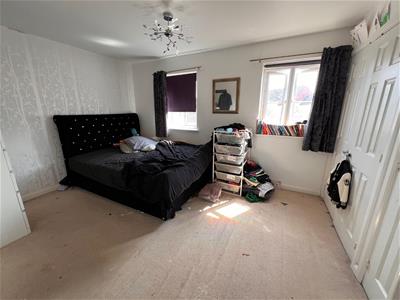 Picture 11
